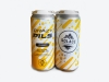 Solace Brewing Company - Crazy Pils