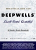 Deepwells Gin Botanical Dry 750ml