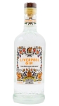 Liverpool Spirits - Valencian Orange Gin