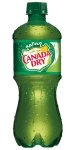 Canada Dry Ginger Ale 20oz Bot