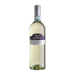 Campagnola Pinot Grigio Delle Venezie Doc Italy 2021 | Nationwide Liquor