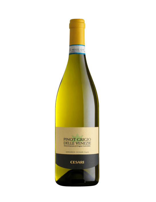 Cesari Pinot Grigio Delle Venezie Italy 2019 | Liquor Store Online