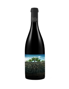 Vintae Proyecto Garnachas De Espana Salvaje Del Moncayo 2019 750ml