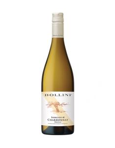 Bollini Chardonnay Barricato 40 2022 750ml