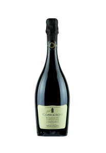 Medici Ermete Concerto Lambrusco 2022 750ml