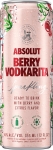 Absolut Berry Vodkarita RTD Cocktail Cans