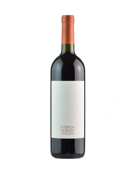 Bodega Noemia Malbec Patagonia 2019 750ml