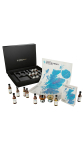 The Dram Team - Scotch Whisky Tasting Map 15 x 5cl Tasting Set